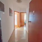 Nolan Apartment *